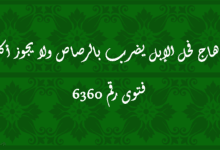 إذا هاج فحل الإبل يضرب بالرصاص ولا يجوز أكله