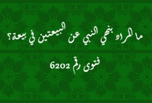 المراد بنهي النبي عن البيعتين في بيعة