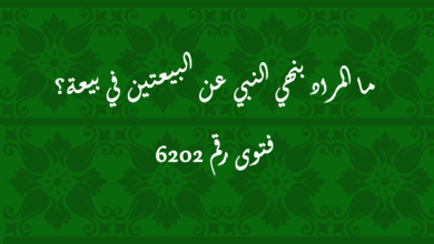 المراد بنهي النبي عن البيعتين في بيعة