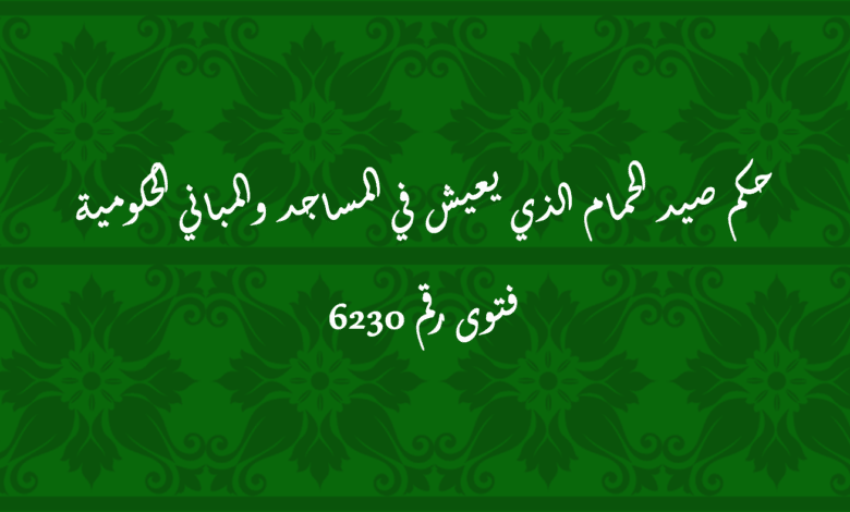 حكم صيد الحمام الذي يعيش في المساجد والمباني الحكومية