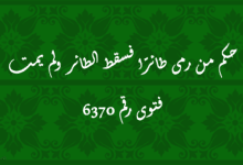 حكم من رمى طائرًا فسقط الطائر ولم يمت