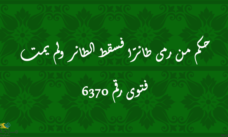 حكم من رمى طائرًا فسقط الطائر ولم يمت