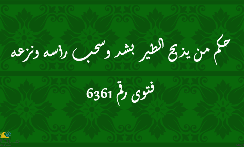 حكم من يذبح الطير بشد وسحب رأسه ونزعه