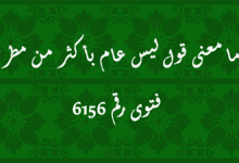 معنى قول ليس عام بأكثر من مطر