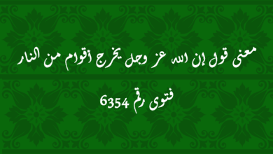 معنى قول إن الله عز وجل يخرج أقوام من النار