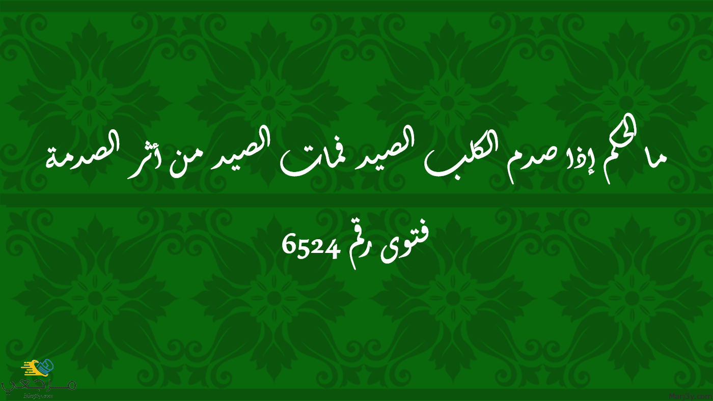 ما الحكم إذا صدم الكلب الصيد فمات الصيد من أثر الصدمة