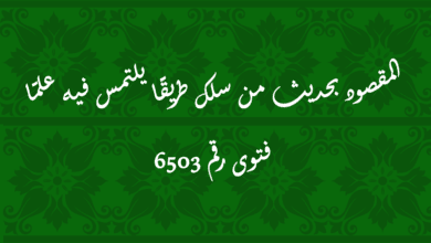 المقصود بحديث من سلك طريقًا يلتمس فيه علمًا