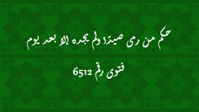 حكم من رمى صيدًا ولم يجده إلا بعد يوم