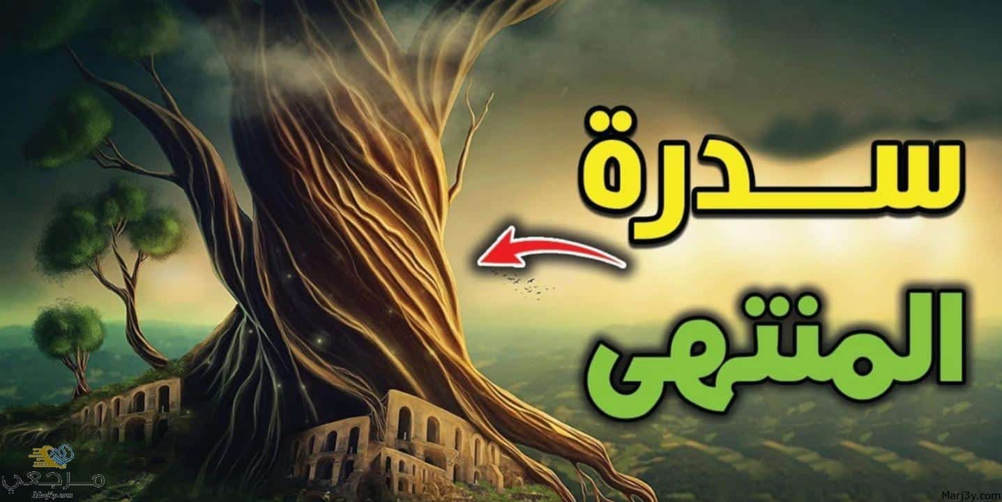 سدرة المنتهى في الحلم