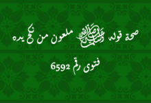 صحة قوله ﷺ ملعون من نكح يده