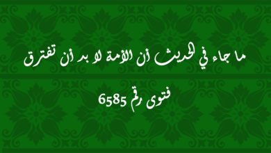 ما جاء في الحديث أن الأمة لا بد أن تفترق