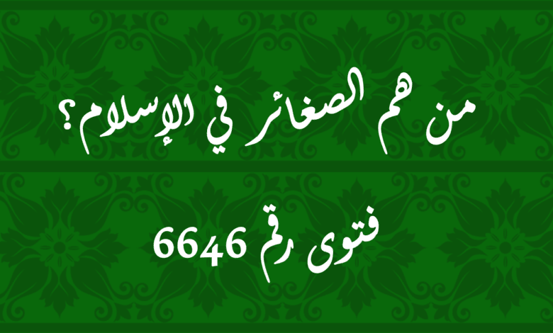 من هم الصغائر في الإسلام