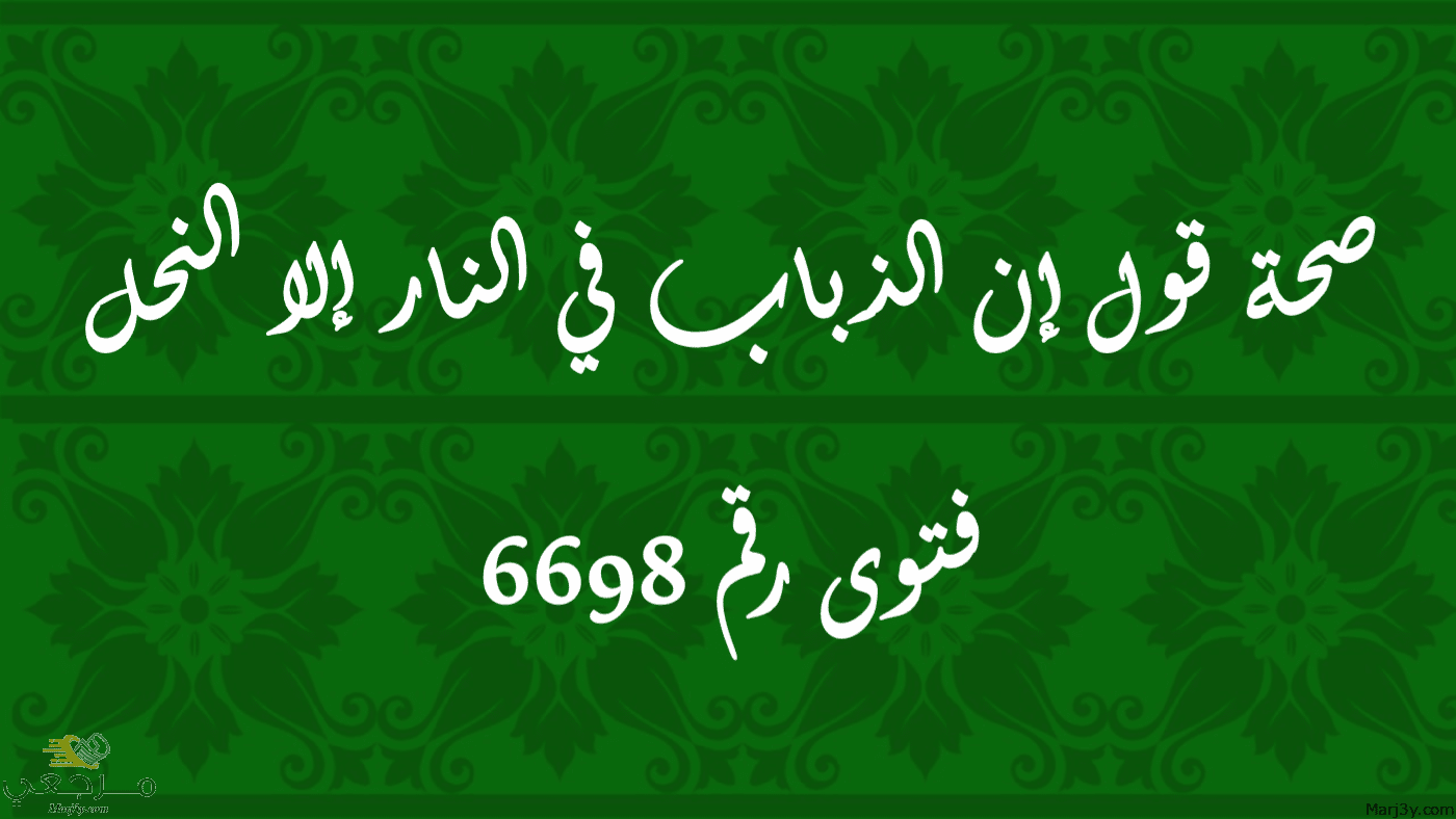 صحة قول إن الذباب في النار إلا النحل