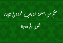 حكم من أسقط الذباب عمدًا في الإناء