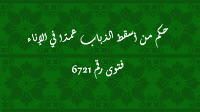 حكم من أسقط الذباب عمدًا في الإناء