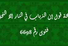 صحة قول إن الذباب في النار إلا النحل