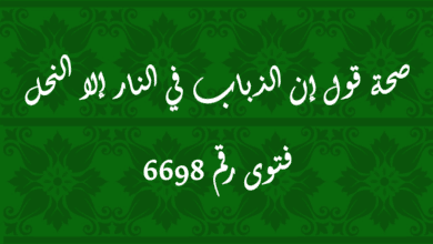 صحة قول إن الذباب في النار إلا النحل