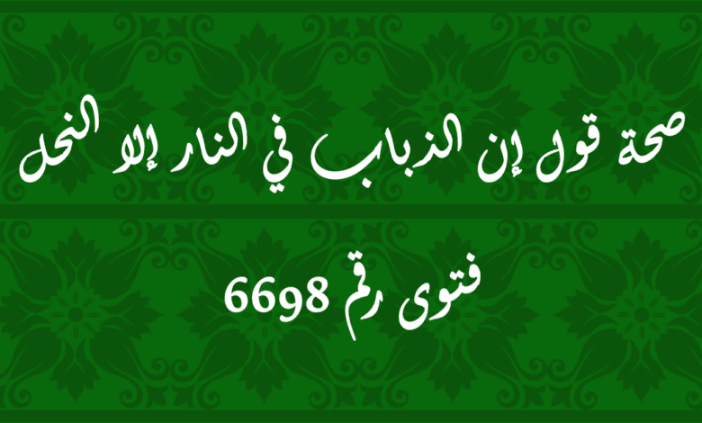 صحة قول إن الذباب في النار إلا النحل