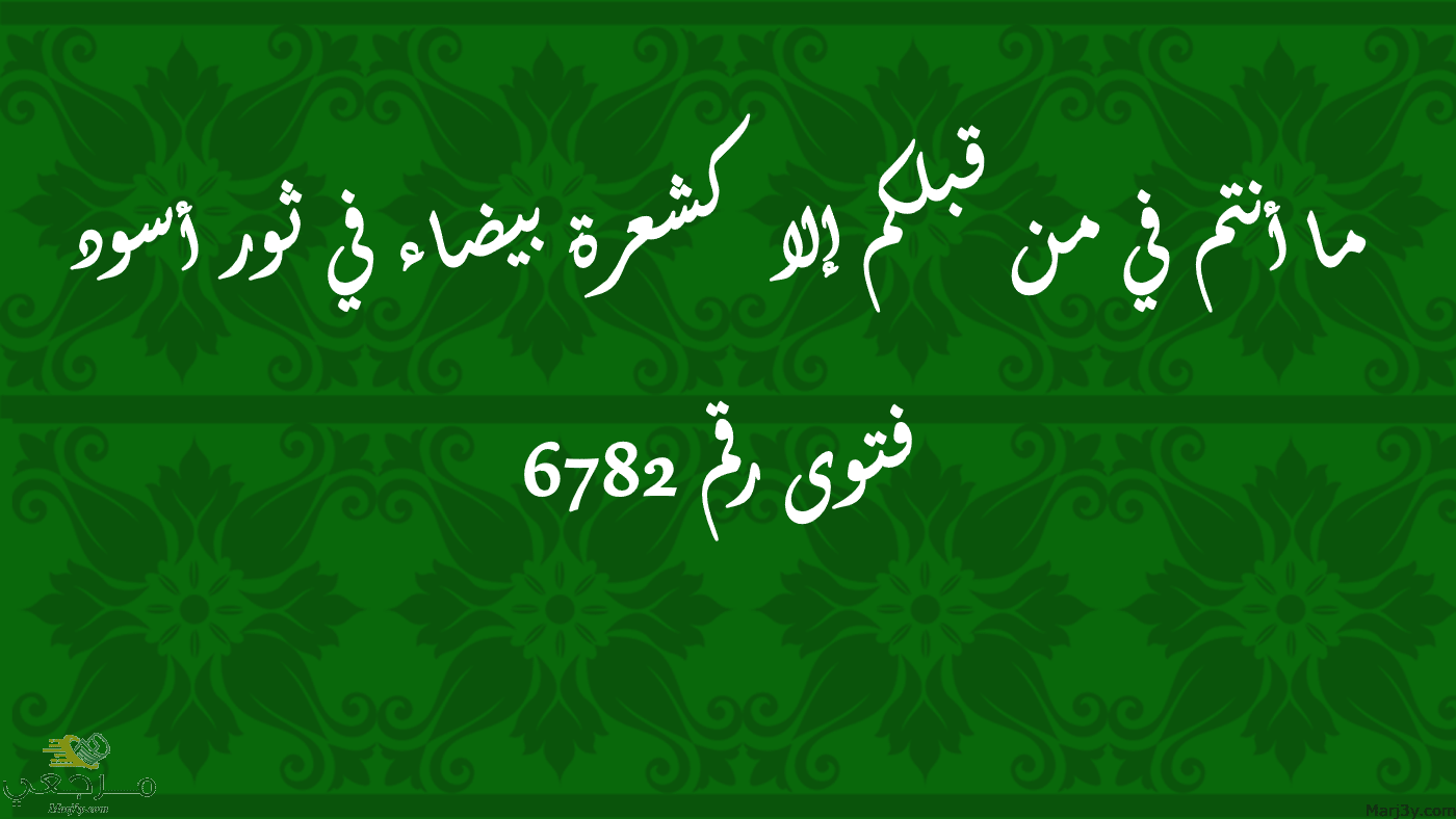 ما أنتم في من قبلكم إلا كشعرة بيضاء في ثور أسود