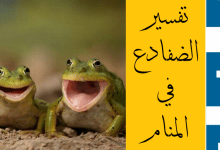 الضفادع في المنام