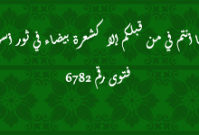 ما أنتم في من قبلكم إلا كشعرة بيضاء في ثور أسود