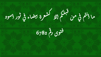 ما أنتم في من قبلكم إلا كشعرة بيضاء في ثور أسود