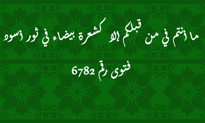 ما أنتم في من قبلكم إلا كشعرة بيضاء في ثور أسود