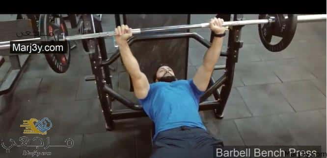 تمارين الصدر بالبار المستوى Chest Exercises Barbell Bench Press مرجعي Marj3y 5352