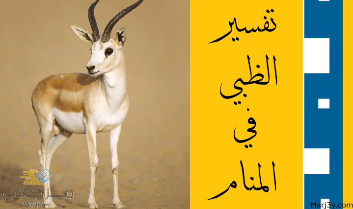 الظبي في المنام