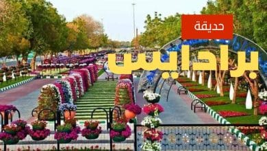 حديقة العين برادايس أبوظبي