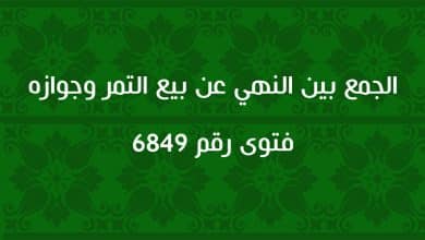 الجمع بين النهي عن بيع التمر وجوازه