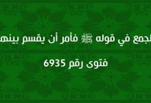 الجمع في قوله ﷺ فأمر أن يقسم بينهم 