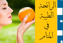 الرائحة الطيبة في المنام