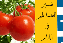 الطماطم في المنام