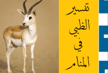 الظبي في المنام