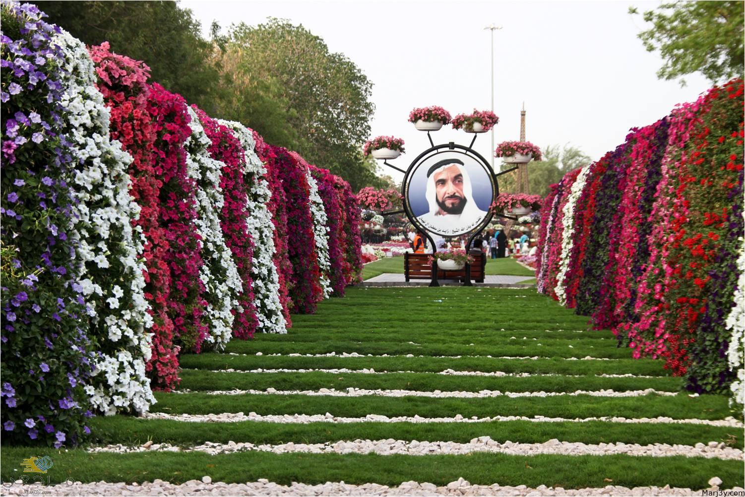 حديقة العين برادايس أبوظبي