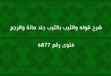 شرح قوله والثيب بالثيب جلد مائة والرجم