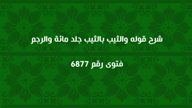 شرح قوله والثيب بالثيب جلد مائة والرجم