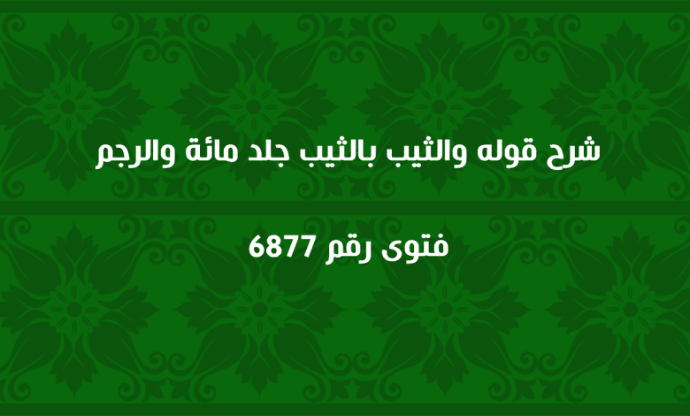 شرح قوله والثيب بالثيب جلد مائة والرجم