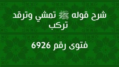 شرح قوله ﷺ تمشي وترقد تركب