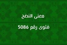 معنى النضح