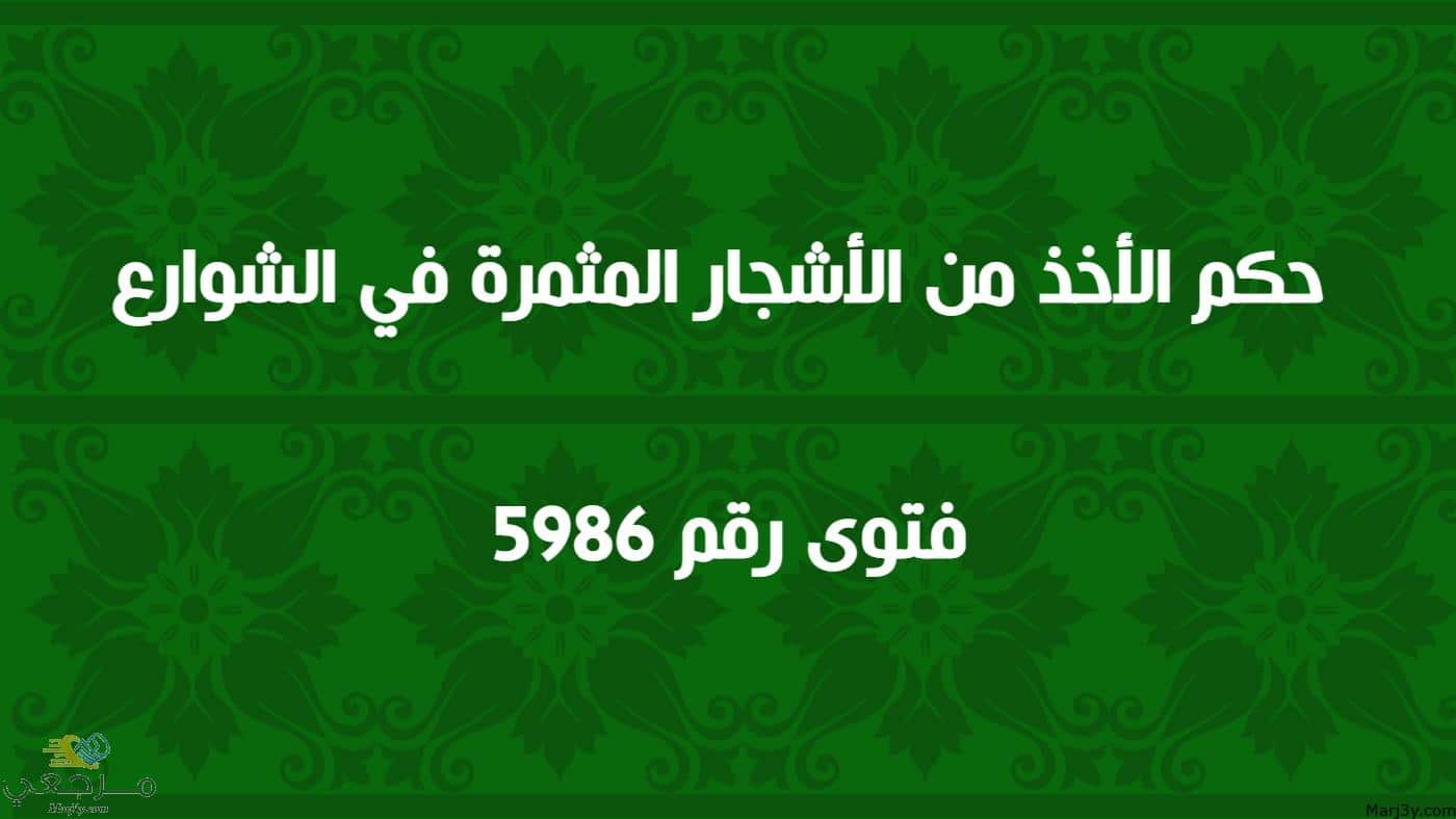 حكم الأخذ من الأشجار المثمرة في الشوارع