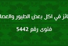 الجائز في اكل بعض الطيور والعصافير