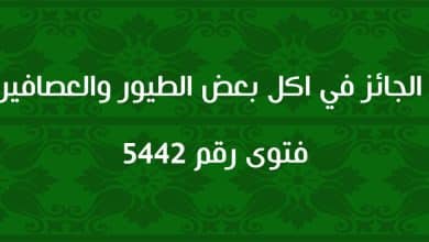 الجائز في اكل بعض الطيور والعصافير