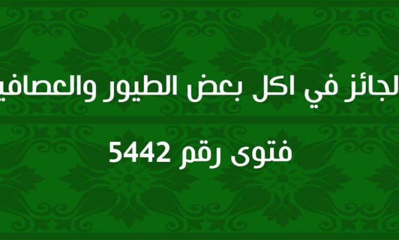 الجائز في اكل بعض الطيور والعصافير