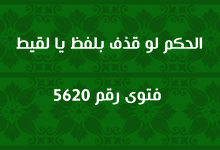 الحكم لو قذف بلفظ يا لقيط