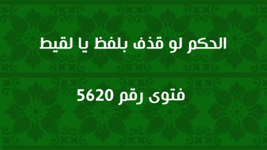 الحكم لو قذف بلفظ يا لقيط