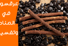 العرقسوس في المنام