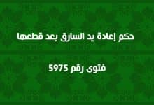 حكم إعادة يد السارق بعد قطعها