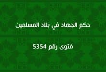 حكم الجهاد في بلاد المسلمين